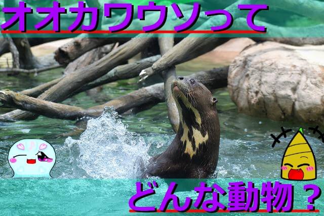 Thumbnail of post image 099